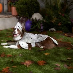 Frisco Seal Dog & Cat Costume 14 Frisco Seal Dog & Cat Costume -Frisco Shop 334983 PT7. AC SS1800 V1657730462