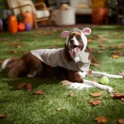 Frisco Hedgehog Dog & Cat Costume 14 Frisco Hedgehog Dog & Cat Costume -Frisco Shop 334990 PT7. AC SS1800 V1657732628