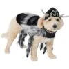 Frisco Spider Dog & Cat Costume -Frisco Shop 335017 MAIN. AC SS1800 V1658718137