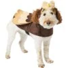 Frisco Owl Dog & Cat Costume 2 Frisco Owl Dog & Cat Costume -Frisco Shop 335055 MAIN. AC SS1800 V1658717776