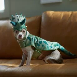 Frisco Triceratops Dog & Cat Costume 16 Frisco Triceratops Dog & Cat Costume -Frisco Shop 335093 PT7. AC SS1800 V1657659565