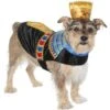 Frisco Royal Pharoah Dog & Cat Costume 1 Frisco Royal Pharoah Dog & Cat Costume -Frisco Shop 335114 MAIN. AC SS1800 V1658346560