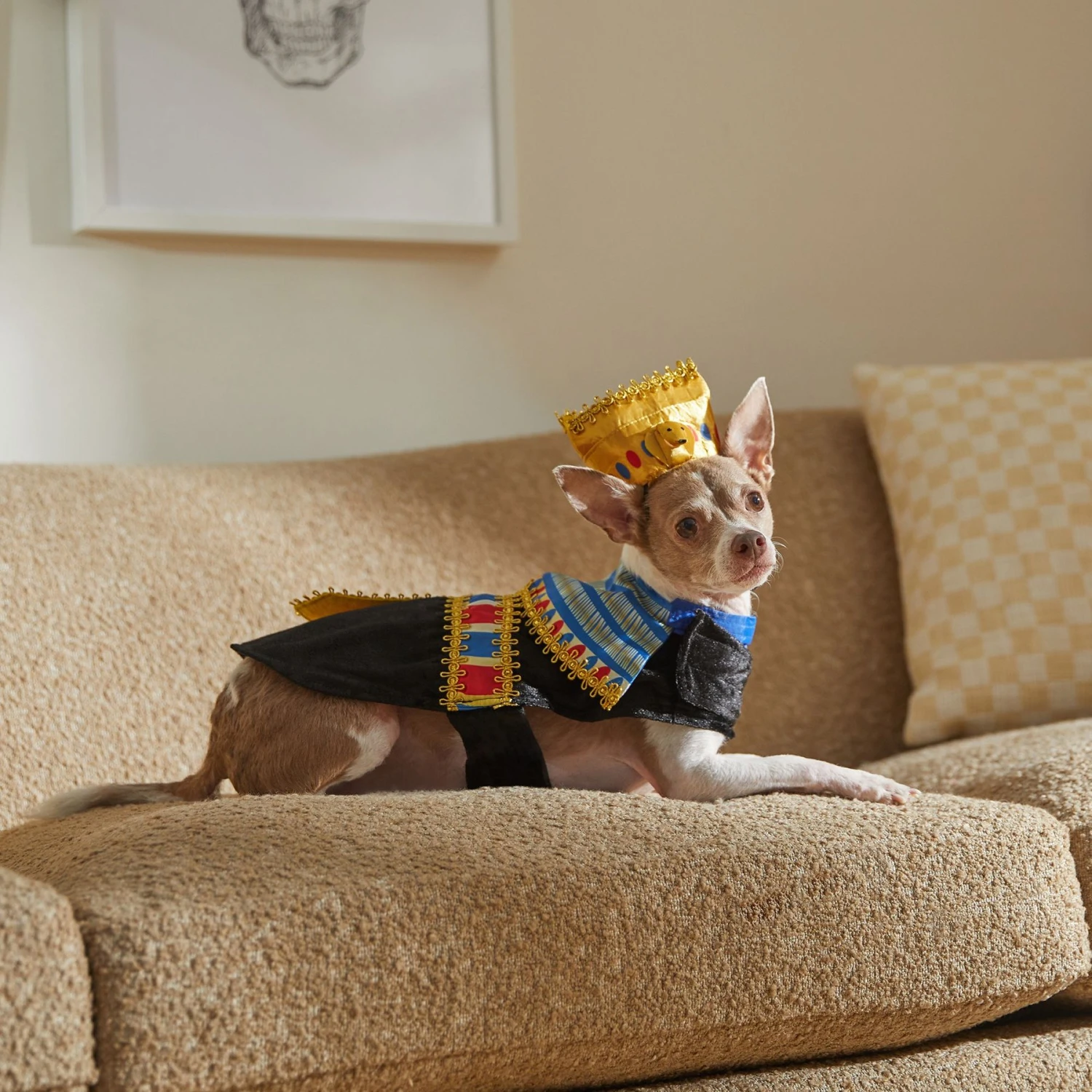 Frisco Royal Pharoah Dog & Cat Costume 9 Frisco Royal Pharoah Dog & Cat Costume - Image 7