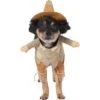 Frisco Front Walking Scarecrow Dog & Cat Costume 2 Frisco Front Walking Scarecrow Dog & Cat Costume -Frisco Shop 335135 MAIN. AC SS1800 V1658349298