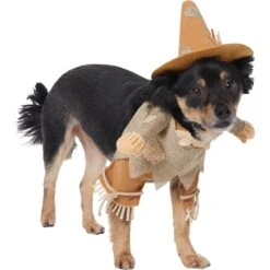 Frisco Front Walking Scarecrow Dog & Cat Costume -Frisco Shop 335135 PT3. AC SS1800 V1658349680