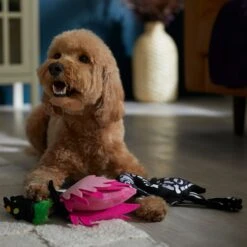 Frisco Halloween Flamingo Plush Squeaky Dog Toy 8 Frisco Halloween Flamingo Plush Squeaky Dog Toy -Frisco Shop 344123 PT3. AC SS1800 V1657657035