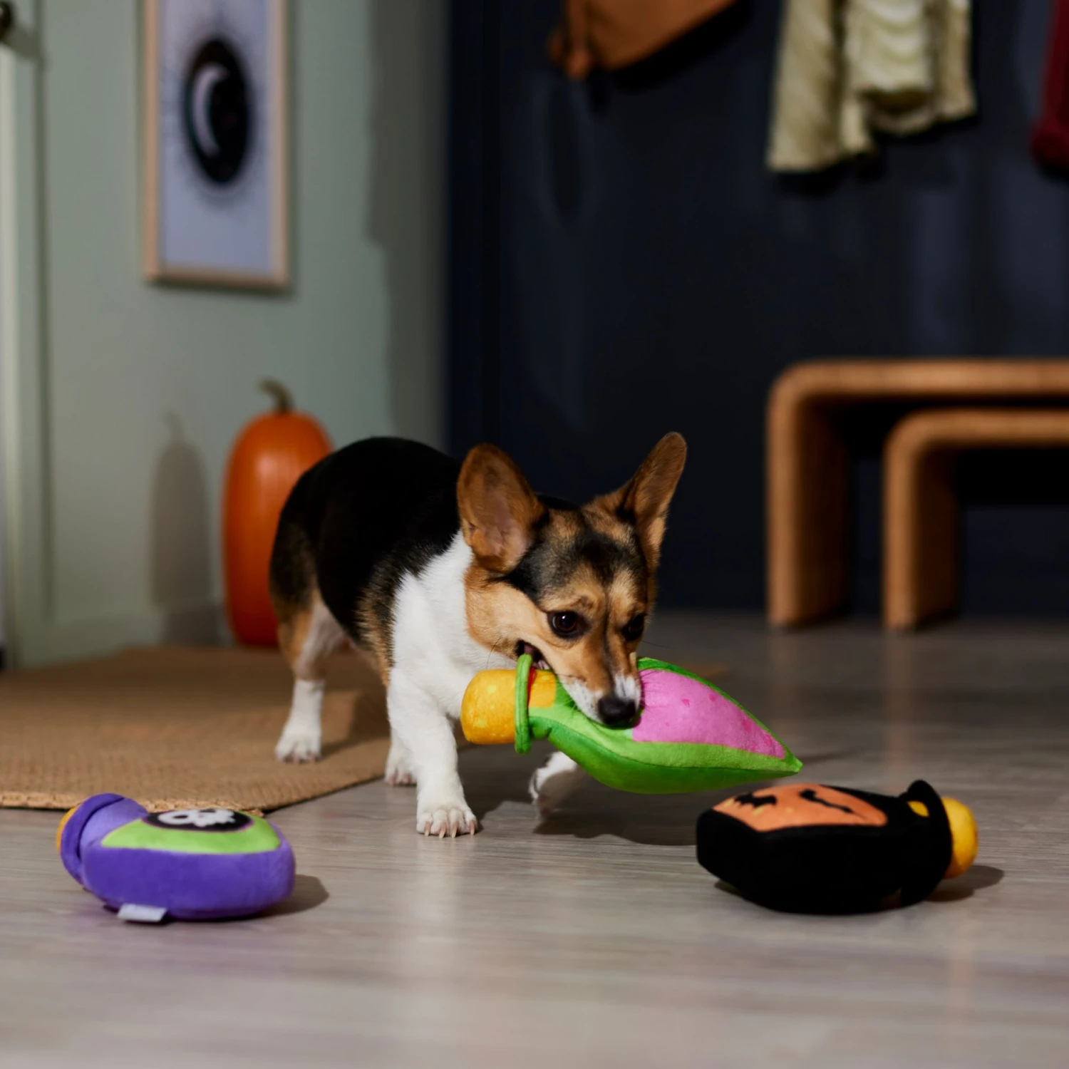 Frisco Halloween Potion Bottles Plush Squeaky Dog Toy 5 Frisco Halloween Potion Bottles Plush Squeaky Dog Toy - Image 3