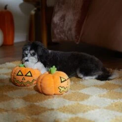 Frisco Halloween Scary Jack-O-Lantern Plush Squeaky Dog Toy 9 Frisco Halloween Scary Jack-O-Lantern Plush Squeaky Dog Toy -Frisco Shop 344158 PT3. AC SS1800 V1657657048