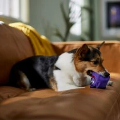 Frisco Halloween Vampire Latex Squeaky Dog Toy -Frisco Shop 344166 PT3. AC SS1800 V1657657049