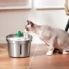 Frisco Stainless Steel Cactus & Leaf Dog & Cat Fountain -Frisco Shop 355814 MAIN. AC SS1800 V1665684257