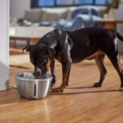 Frisco Stainless Steel Heart Dog & Cat Fountain -Frisco Shop 355816 PT5. AC SS1800 V1665684540