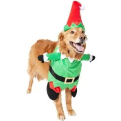 Frisco Front Walking Elf Dog & Cat Costume -Frisco Shop 357956 PT4. AC SS1800 V1660757458