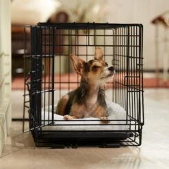 Frisco Adjustable Electrical Dog & Cat Heated Crate Mat With Timer 14 Frisco Adjustable Electrical Dog & Cat Heated Crate Mat With Timer -Frisco Shop 358546 PT5. AC SS1800 V1662500981