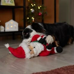 Frisco Holiday Santa Claus Plush Squeaky Dog Toy 9 Frisco Holiday Santa Claus Plush Squeaky Dog Toy -Frisco Shop 360914 PT3. AC SS1800 V1661874178