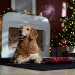 Frisco Holiday "Happy Pawlidays" Bone Plush Squeaky Dog Toy, Medium, 2 Count 8 Frisco Holiday "Happy Pawlidays" Bone Plush Squeaky Dog Toy, Medium, 2 Count -Frisco Shop 360942 PT3. AC SS1800 V1661874360