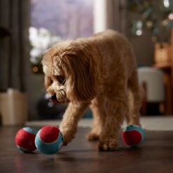 Frisco Holiday Ho Ho Ho Fetch Squeaky Tennis Ball Dog Toy -Frisco Shop 360952 PT3. AC SS1800 V1661874421