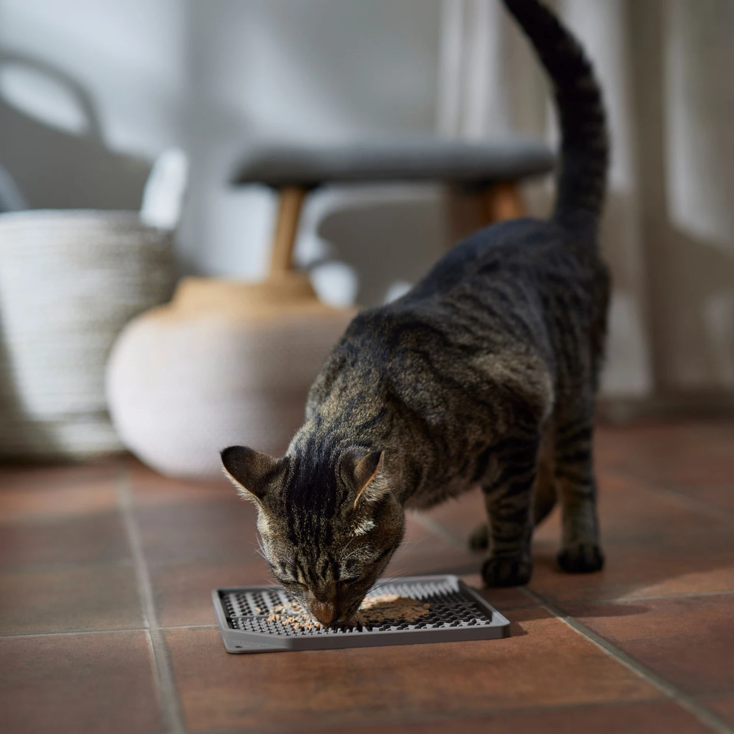 Frisco Non-skid Square Silicone Dog & Cat Lick Mat 6 Frisco Non-skid Square Silicone Dog & Cat Lick Mat - Image 4