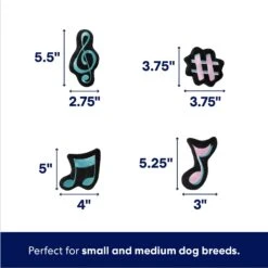 Frisco Valentine Love Song Record Player Hide & Seek Puzzle Plush Squeaky Dog Toy -Frisco Shop 371087 PT2. AC SS1800 V1701364927