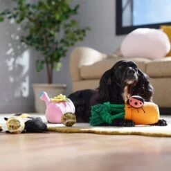 Frisco Spring Plush & Rope Variety Pack Squeaky Dog Toy -Frisco Shop 541526 PT4. AC SS1800 V1702500565