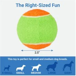 Frisco Dumbbell TPR Fetch Dog Toy + 3 Items 16 Frisco Dumbbell TPR Fetch Dog Toy + 3 Items -Frisco Shop 582446 PT6. AC SS1800 V1658238980