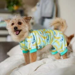 Frisco Go Bananas Dog & Cat Jersey PJs 12 Frisco Go Bananas Dog & Cat Jersey PJs -Frisco Shop 608998 PT6. AC SS1800 V1676642341