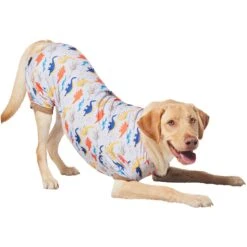 Frisco Dinosaur Dog & Cat Jersey PJs 10 Frisco Dinosaur Dog & Cat Jersey PJs -Frisco Shop 609062 PT4. AC SS1800 V1681488688