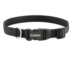 Frisco Solid Nylon Dog Leash + 4 Items -Frisco Shop 623766 PT5. AC SS1800 V1662735841
