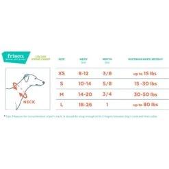 Frisco Solid Nylon Dog Leash + 4 Items -Frisco Shop 623766 PT6. AC SS1800 V1662739135