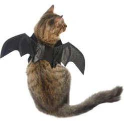 Frisco Bat Wings Dog & Cat Costume & Buckle-Down Batman Shield Polyester Dog Collar 13 Frisco Bat Wings Dog & Cat Costume & Buckle-Down Batman Shield Polyester Dog Collar -Frisco Shop 638566 PT2. AC SS1800 V1663254513