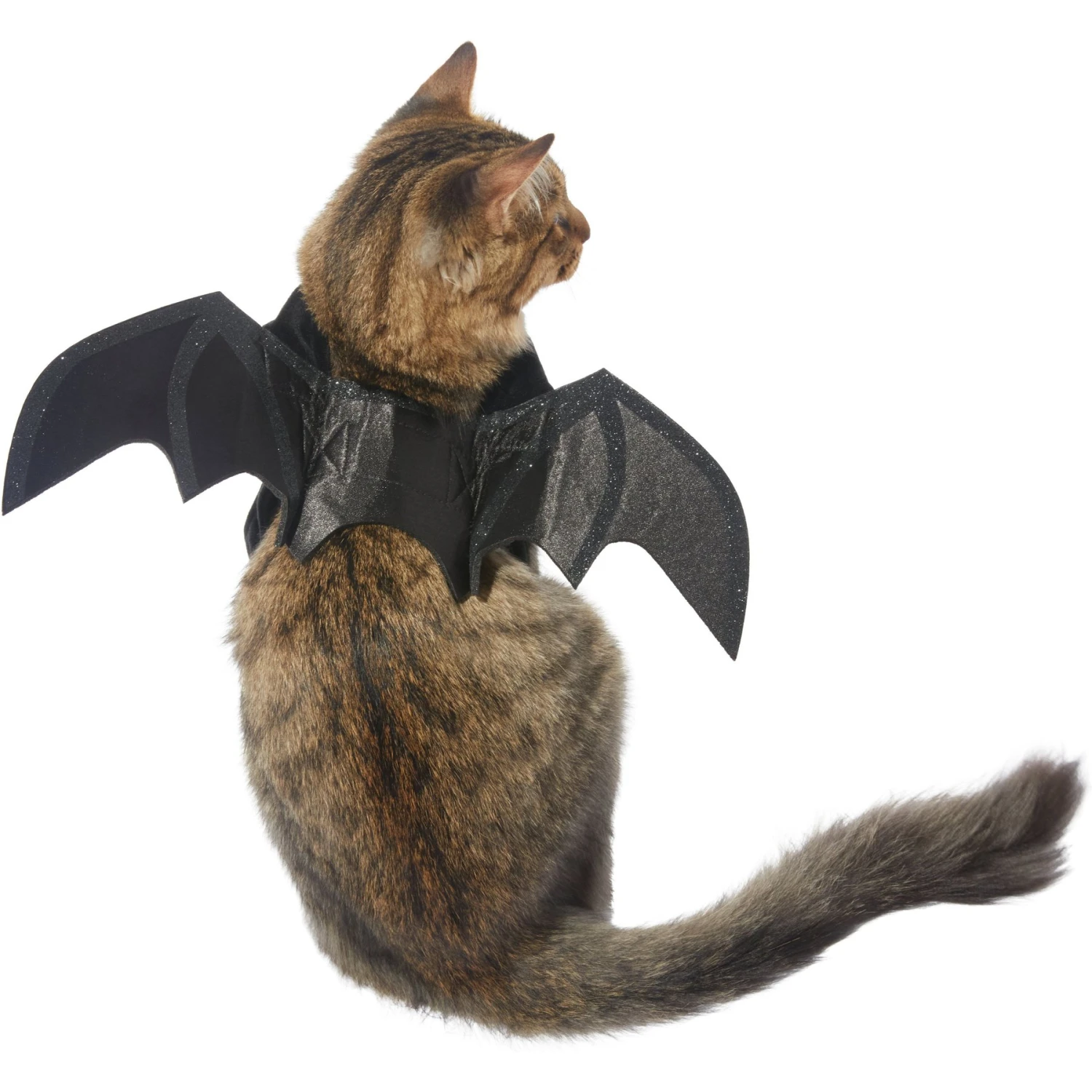 Frisco Bat Wings Dog & Cat Costume & Buckle-Down Batman Shield Polyester Dog Collar 5 Frisco Bat Wings Dog & Cat Costume & Buckle-Down Batman Shield Polyester Dog Collar - Image 3
