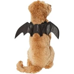 Frisco Bat Wings Dog & Cat Costume & Buckle-Down Batman Shield Polyester Dog Collar 14 Frisco Bat Wings Dog & Cat Costume & Buckle-Down Batman Shield Polyester Dog Collar -Frisco Shop 638566 PT3. AC SS1800 V1663254451