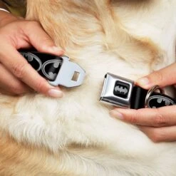 Frisco Bat Wings Dog & Cat Costume & Buckle-Down Batman Shield Polyester Dog Collar 17 Frisco Bat Wings Dog & Cat Costume & Buckle-Down Batman Shield Polyester Dog Collar -Frisco Shop 638566 PT6. AC SS1800 V1663254111