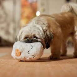 Frisco Halloween Trick Or Treat Ghost Plush Squeaky Dog Toy 10 Frisco Halloween Trick Or Treat Ghost Plush Squeaky Dog Toy -Frisco Shop 667974 PT3. AC SS1800 V1689350978