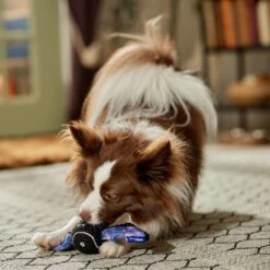 Frisco Halloween Bat Fetch Squeaky Tennis Ball Dog Toy 10 Frisco Halloween Bat Fetch Squeaky Tennis Ball Dog Toy -Frisco Shop 668278 PT3. AC SS1800 V1689350166