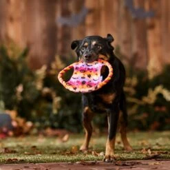 Frisco Halloween Ghost Swirl Fetch Flyer Dog Toy 8 Frisco Halloween Ghost Swirl Fetch Flyer Dog Toy -Frisco Shop 668294 PT3. AC SS1800 V1689278363