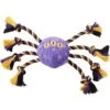Frisco Halloween Magical Spider Plush With Rope Squeaky Dog Toy 1 Frisco Halloween Magical Spider Plush With Rope Squeaky Dog Toy -Frisco Shop 668310 MAIN. AC SS1800 V1689350982