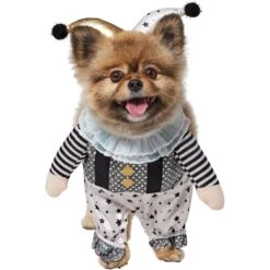 Frisco Front Walking Glitter Clown Dog & Cat Costume 13 Frisco Front Walking Glitter Clown Dog & Cat Costume -Frisco Shop 707542 PT2. AC SS1800 V1689351699