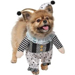 Frisco Front Walking Glitter Clown Dog & Cat Costume 14 Frisco Front Walking Glitter Clown Dog & Cat Costume -Frisco Shop 707542 PT3. AC SS1800 V1689278296