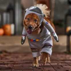 Frisco Front Walking LED Astronaut Dog & Cat Costume -Frisco Shop 707630 PT7. AC SS1800 V1689278700