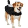 Frisco Faux Fur Skunk Dog & Cat Costume 1 Frisco Faux Fur Skunk Dog & Cat Costume -Frisco Shop 708078 MAIN. AC SS1800 V1689350100