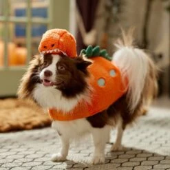 Frisco Furry Dinosaur Dog & Cat Costume 16 Frisco Furry Dinosaur Dog & Cat Costume -Frisco Shop 708190 PT7. AC SS1800 V1689278373