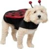 Frisco Glittered Ladybug Dog & Cat Costume -Frisco Shop 708254 MAIN. AC SS1800 V1689277785