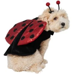 Frisco Glittered Ladybug Dog & Cat Costume 14 Frisco Glittered Ladybug Dog & Cat Costume -Frisco Shop 708254 PT3. AC SS1800 V1689350986