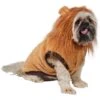 Frisco Lion Love Dog & Cat Costume -Frisco Shop 708318 MAIN. AC SS1800 V1689278301