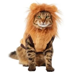 Frisco Lion Love Dog & Cat Costume 13 Frisco Lion Love Dog & Cat Costume -Frisco Shop 708318 PT2. AC SS1800 V1689341486