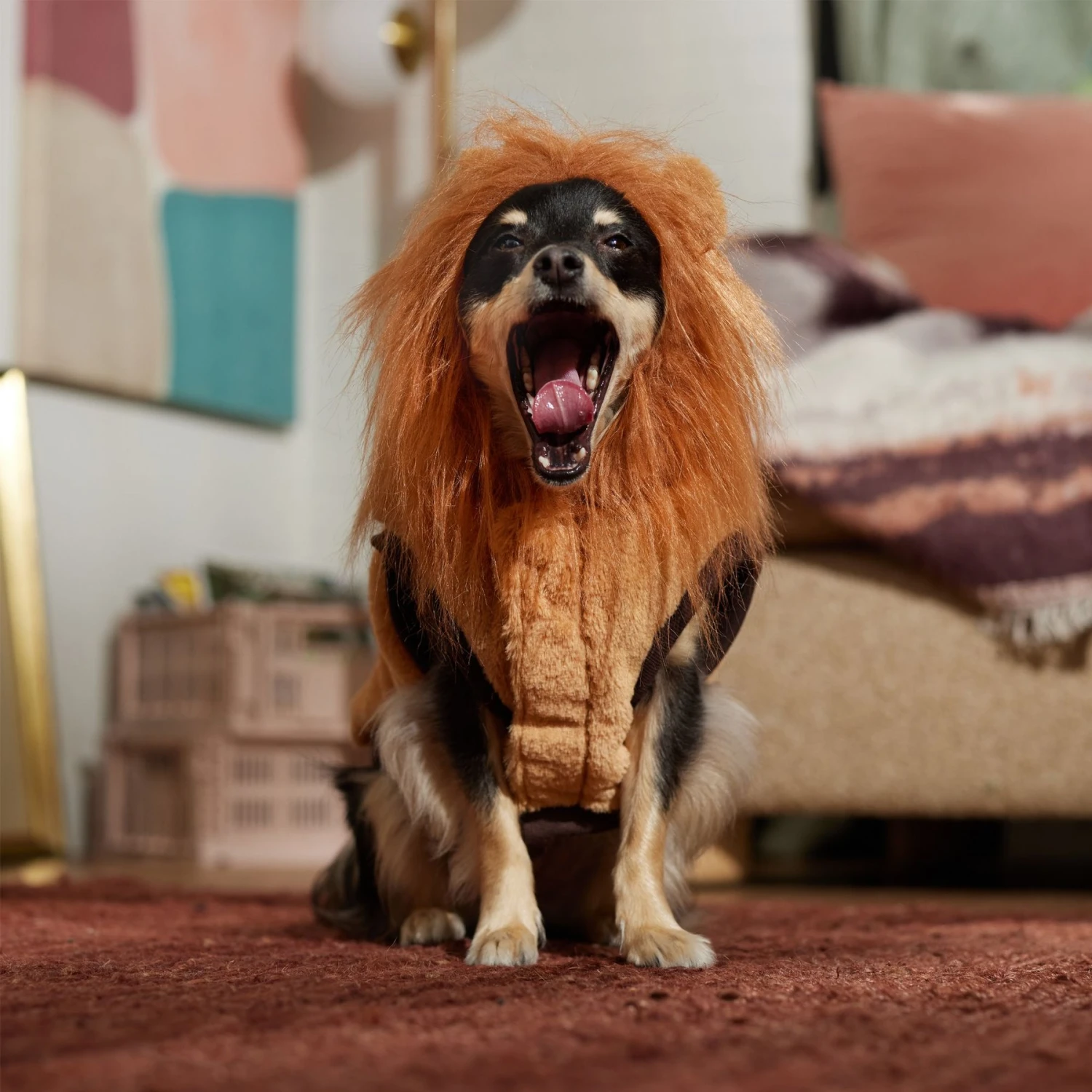 Frisco Lion Love Dog & Cat Costume 10 Frisco Lion Love Dog & Cat Costume - Image 8