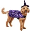 Frisco Cosmic Witch Dog & Cat Costume -Frisco Shop 708982 MAIN. AC SS1800 V1689282565