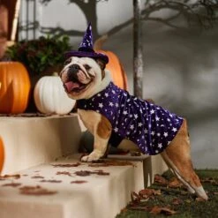 Frisco Cosmic Witch Dog & Cat Costume 14 Frisco Cosmic Witch Dog & Cat Costume -Frisco Shop 708982 PT7. AC SS1800 V1689350987