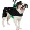 Frisco Witch Cauldron Ride-On Dog & Cat Costume -Frisco Shop 709494 MAIN. AC SS1800 V1689270917