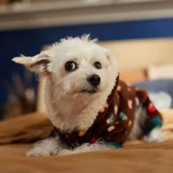 Frisco Cozy Plush Fleece Dog & Cat PJs, Mushrooms 16 Frisco Cozy Plush Fleece Dog & Cat PJs, Mushrooms -Frisco Shop 718950 PT7. AC SS1800 V1692378098